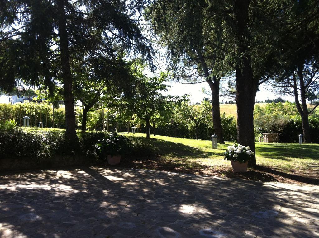 Villa Nunzia Cupramontana Exterior photo